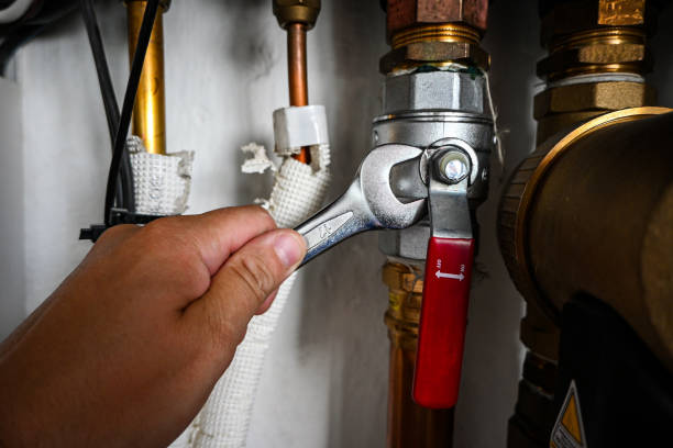 Best Shower Repair Services  in Lford, MI